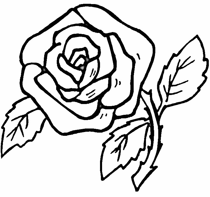 Rose Coloring Pages For Kids
 Coloring Pages for Kids Rose Coloring Pages for Kids