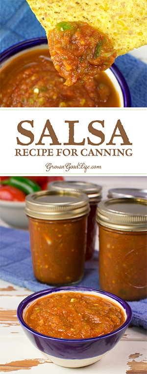 Salsa Canning Recipe
 Tomato Salsa Recipe for Canning