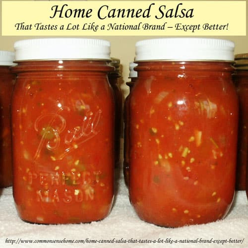 Salsa Canning Recipe
 Home Canned Salsa Recipe That Tastes a Lot Like a National