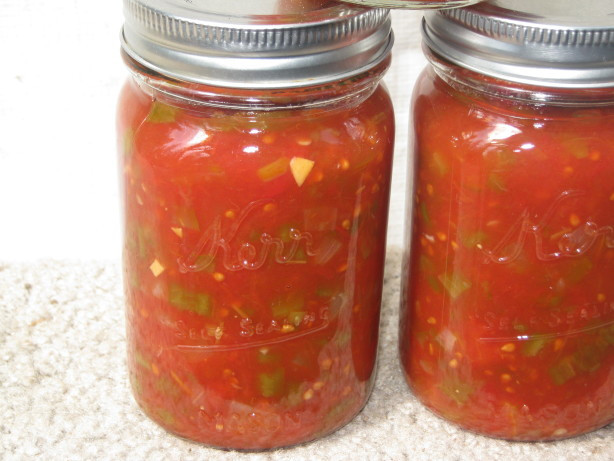 Salsa Canning Recipe
 Salsa For Canning Recipe Food