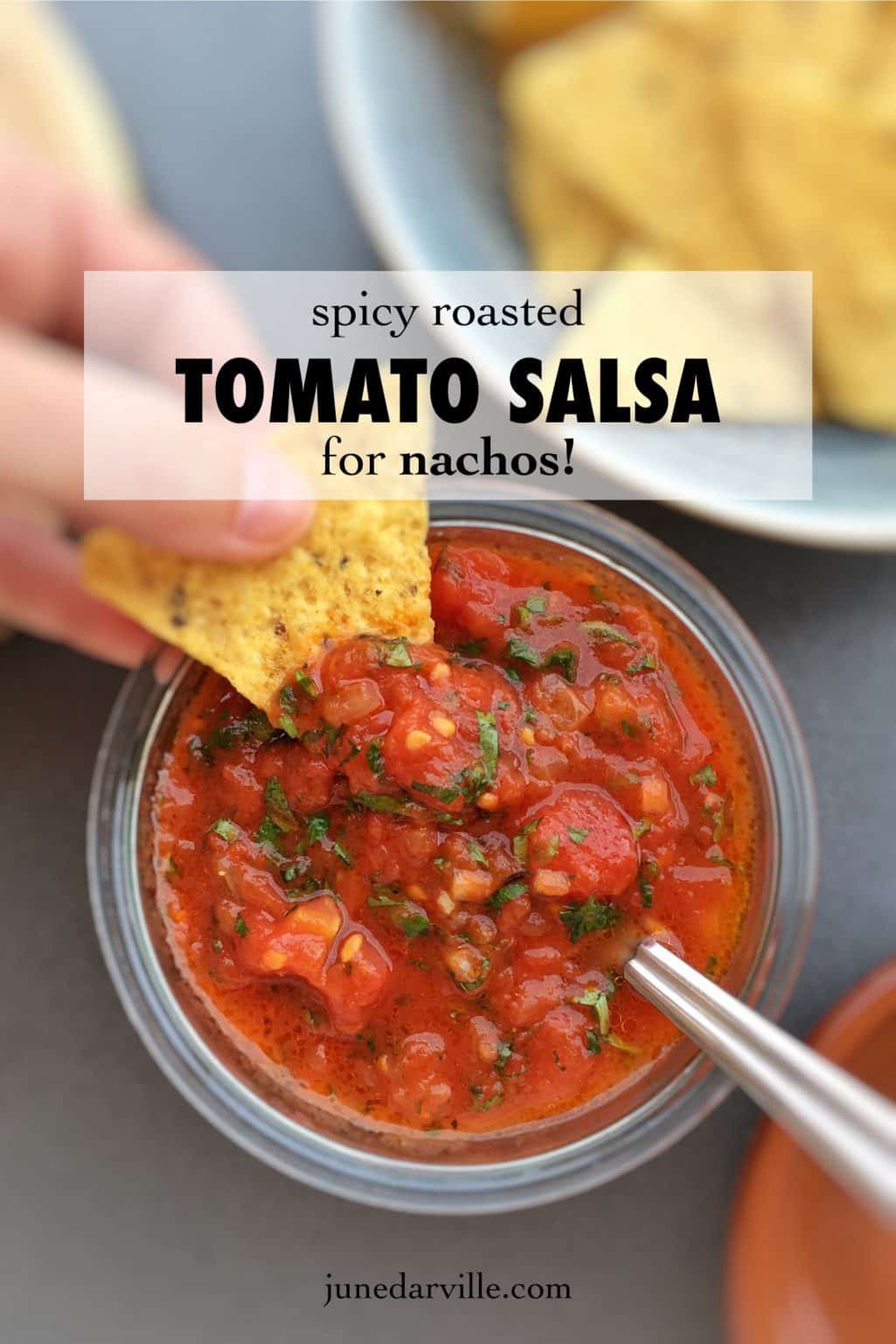 Salsa Recipe Simple
 Spicy Roasted Tomato Salsa Recipe