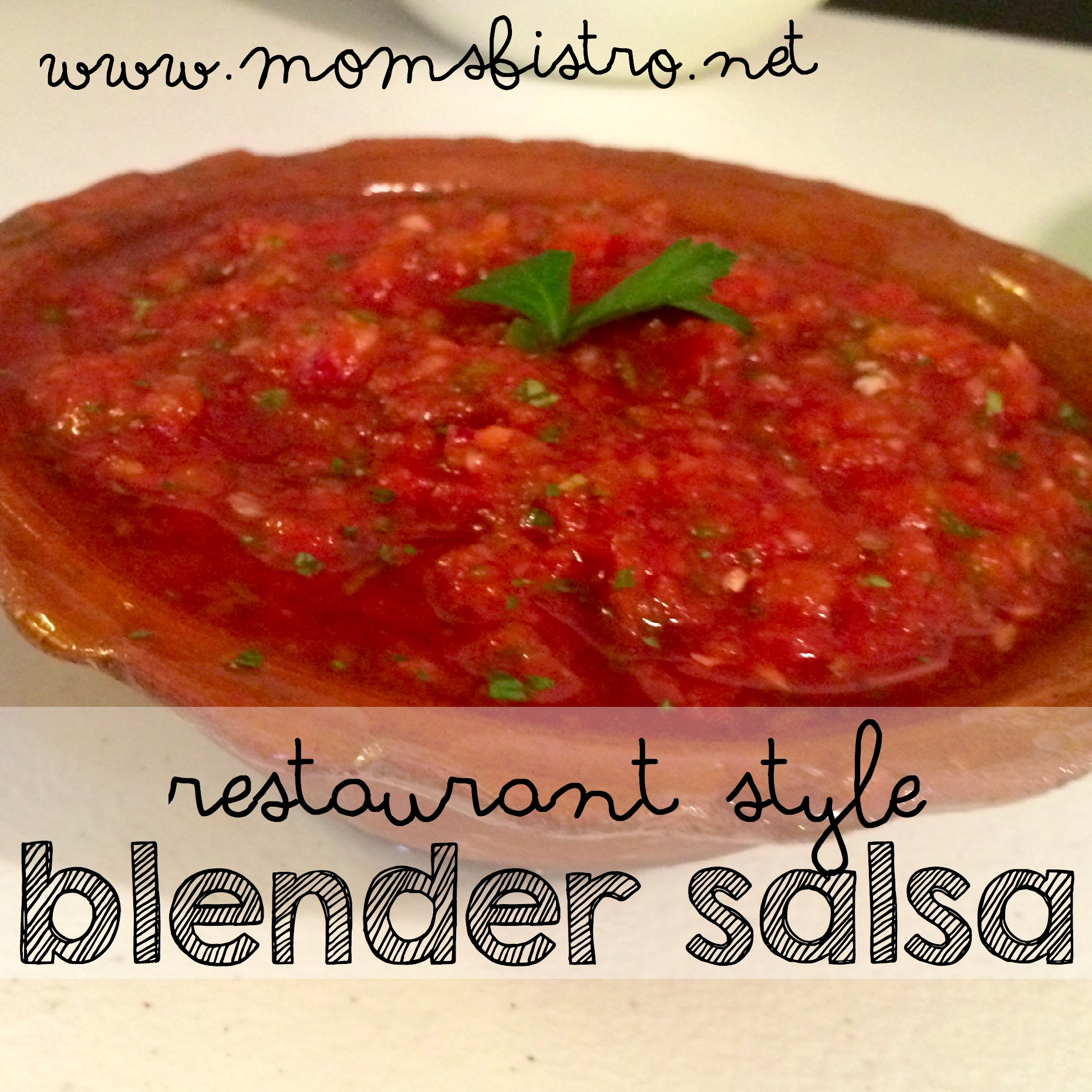 Salsa Recipe Simple
 Simple Snack Solutions Easy Restaurant Style Blender