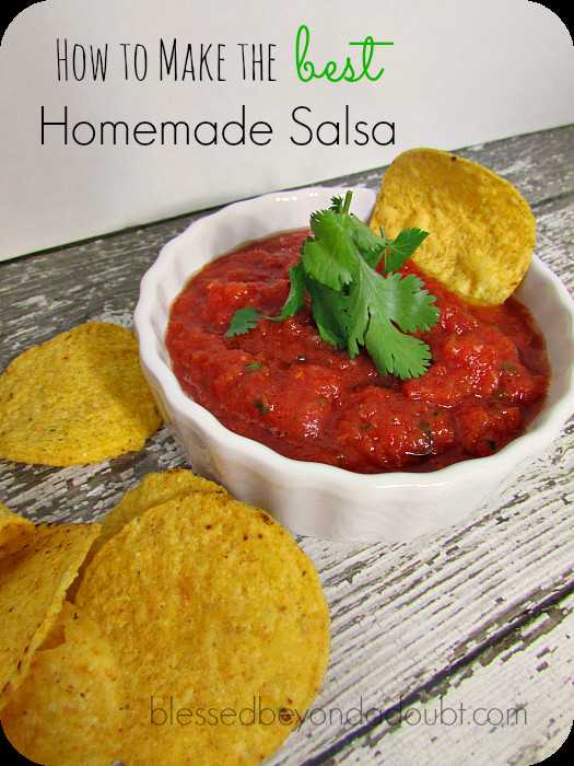 Salsa Recipe Simple
 EASY Homemade Salsa Recipe It s the BEST