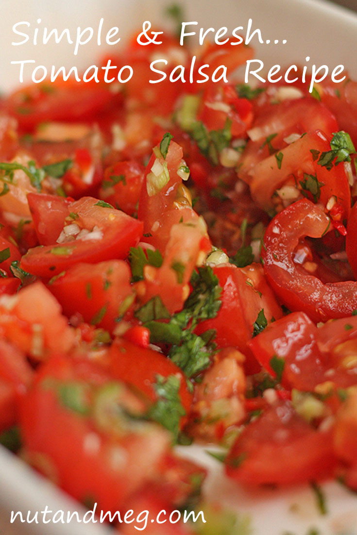Salsa Recipe Simple
 Tomato Salsa Recipe