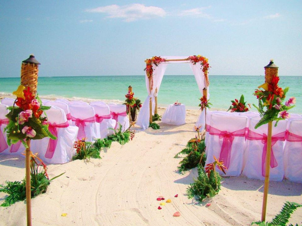 Sarasota Beach Weddings
 Sand Petal Weddings and Florida Beach Receptions