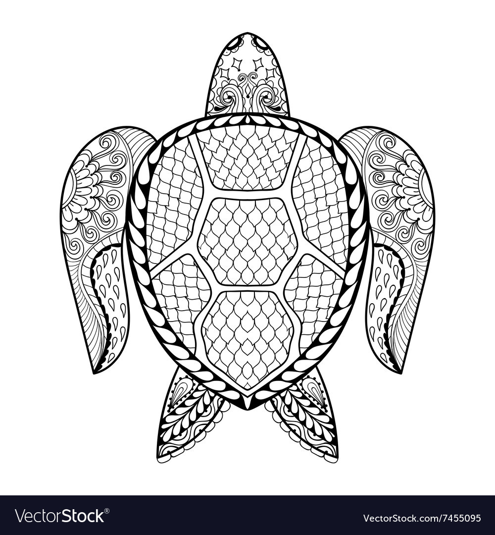 Sea Turtle Coloring Pages For Adults
 Hand drawn sea Turtle for adult coloring pages in Vector Image