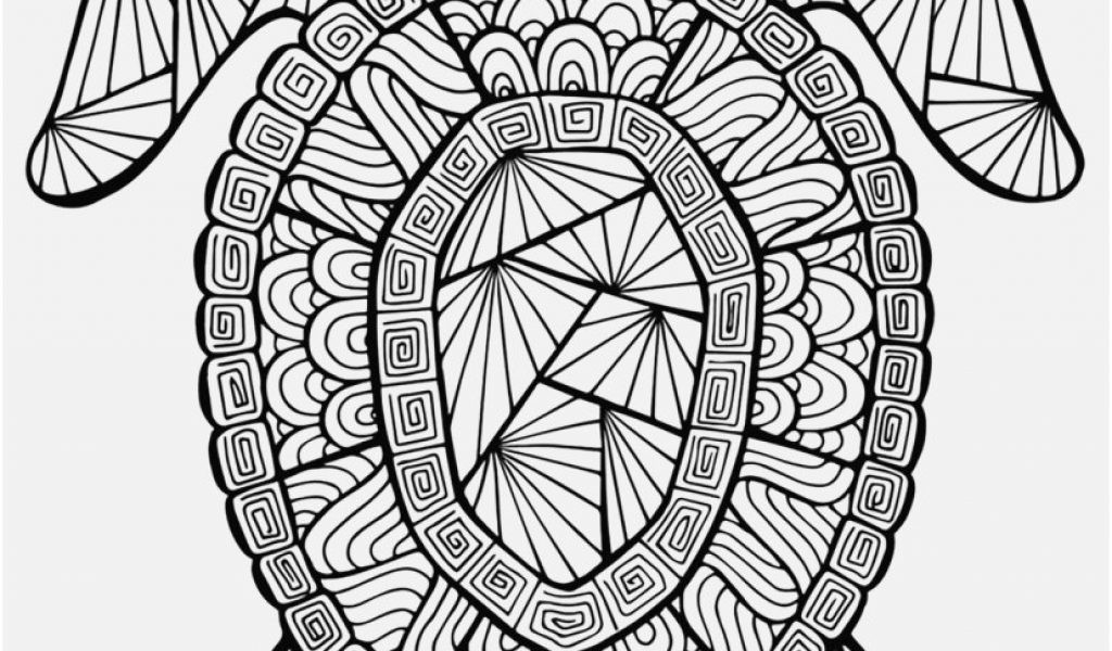 Sea Turtle Coloring Pages For Adults
 Sea Turtle Coloring Pages For Adults at GetColorings