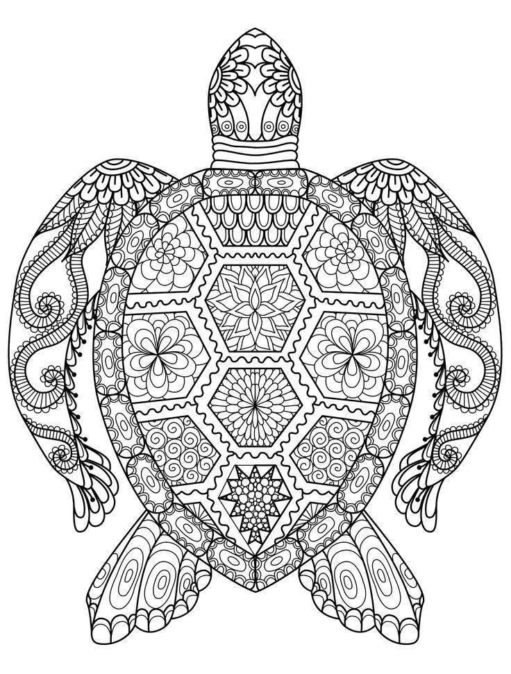 Sea Turtle Coloring Pages For Adults
 20 Gorgeous Free Printable Adult Coloring Pages