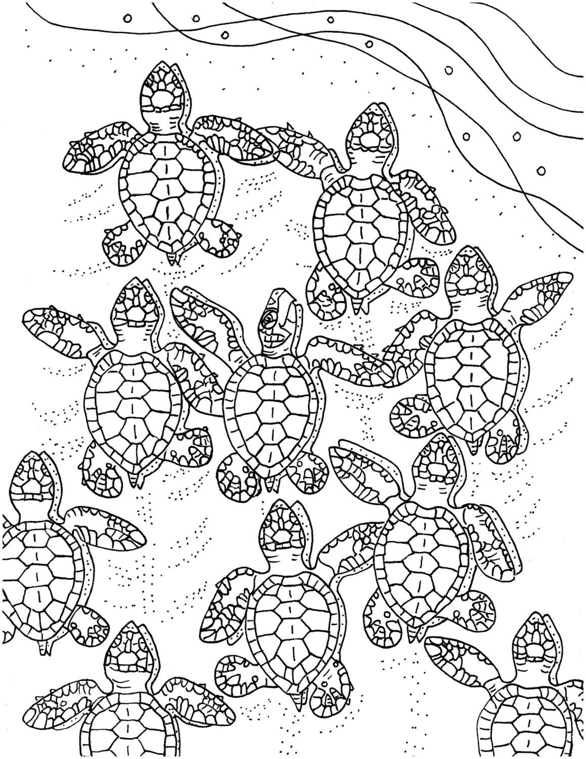 Sea Turtle Coloring Pages For Adults
 Baby Sea Turtles coloring page embroidery pattern sea