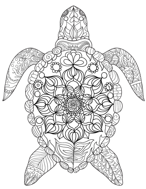 Sea Turtle Coloring Pages For Adults
 Free printable sea turtle adult coloring page Download it
