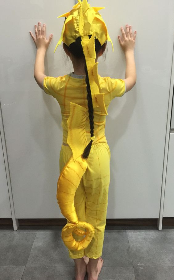 Seahorse Costume DIY
 Seahorse costume Seahorses and Costumes on Pinterest