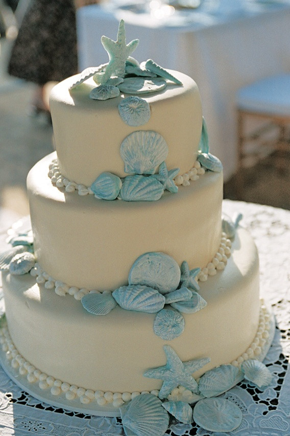 Seashell Wedding Cake
 Cakes & Desserts s Seashell Wedding Cake Inside