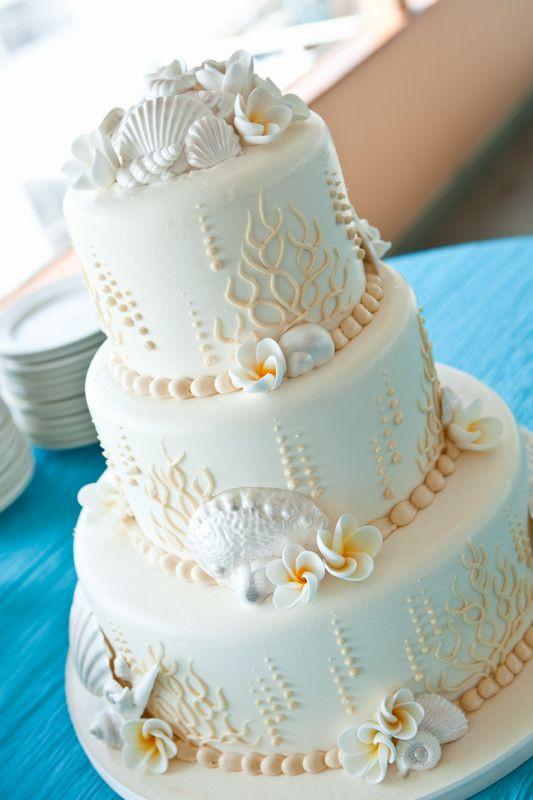 Seashell Wedding Cake
 Concertina Press Stationery and Invitations 5 Seashell
