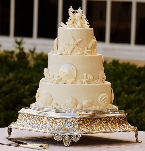 Seashell Wedding Cake
 seashell wedding cakes