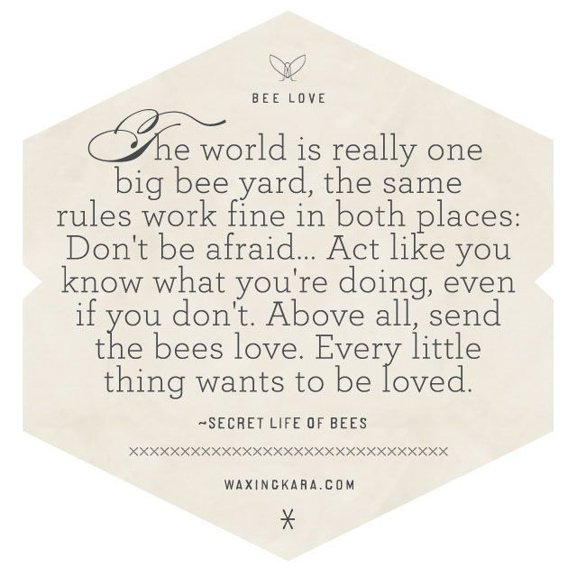 Secret Life Of Bees Quotes
 Secret Life Bees Sue Monk Kidd Quotes QuotesGram