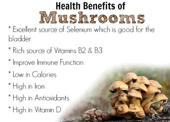 Shiitake Mushrooms Benefits
 My Fasting Journey 1st 3 Day FMD Page 2