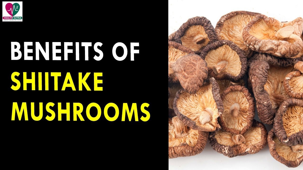 Shiitake Mushrooms Benefits
 Benefits Shiitake Mushrooms Health Sutra Best