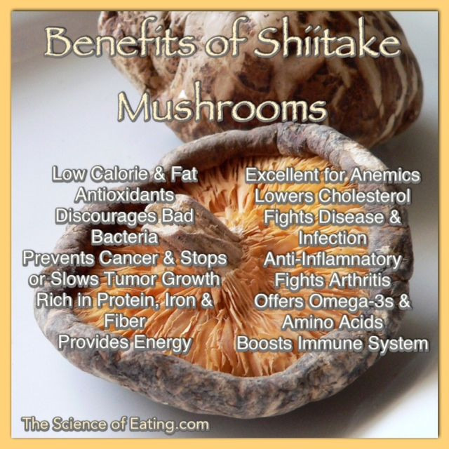 Shiitake Mushrooms Benefits
 17 Best images about Mushroom Reme s on Pinterest