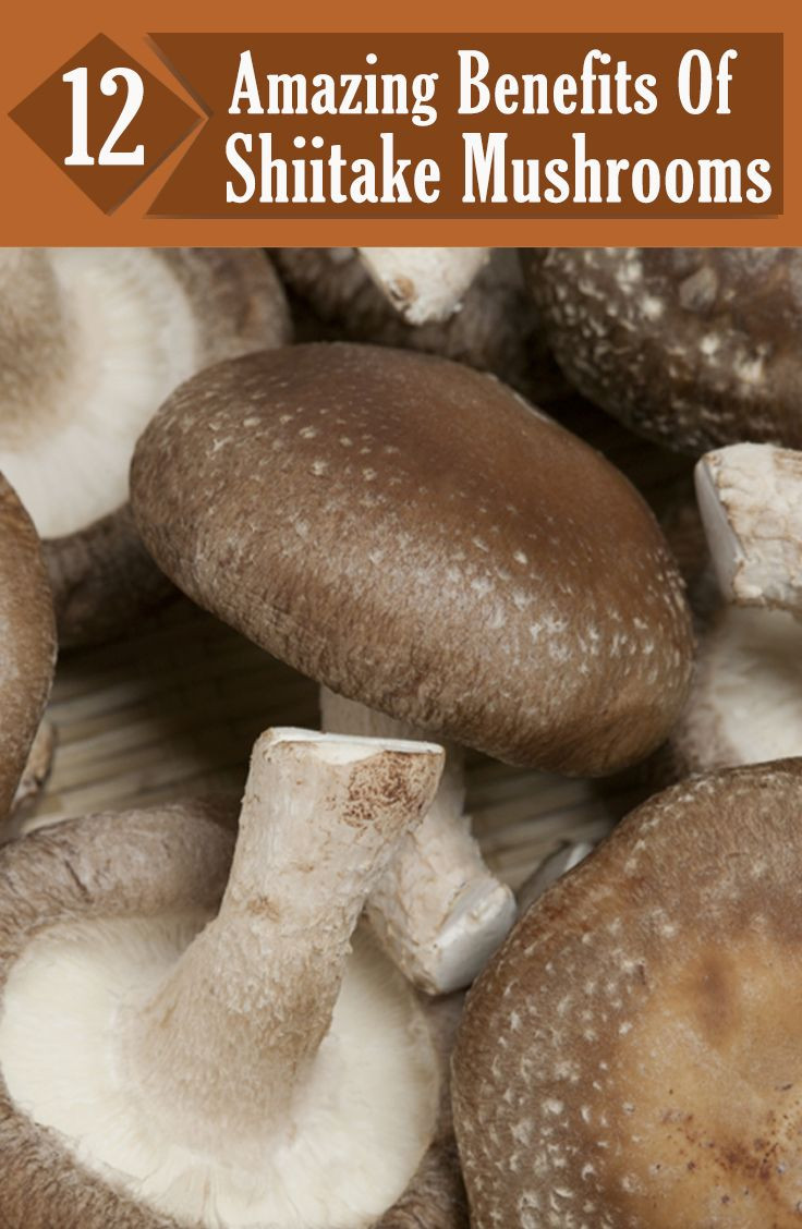 Shiitake Mushrooms Benefits
 17 Best images about Vitamin D on Pinterest