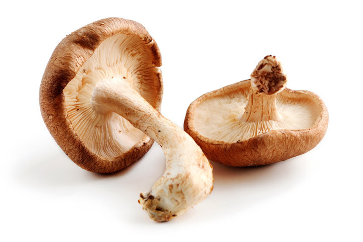 Shiitake Mushrooms Benefits
 Shiitake Mushrooms Health Benefits Quiet Corner