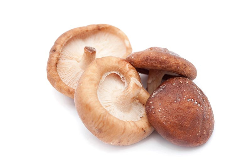 Shiitake Mushrooms Benefits
 Shiitake Mushrooms Health Benefits Quiet Corner
