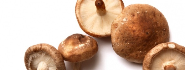 Shiitake Mushrooms Benefits
 Health Benefits of Shiitake Mushrooms