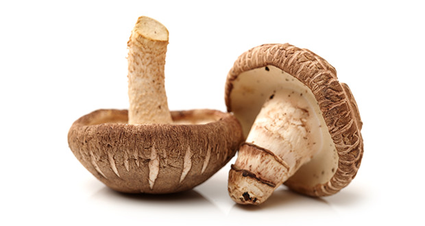 Shiitake Mushrooms Benefits
 Shiitake Mushrooms Gourmet Ingre nt or Medicinal