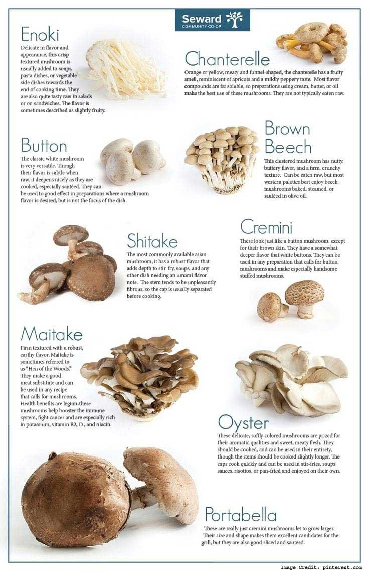 Shiitake Mushrooms Benefits
 The Magical Nutrition of Cooked Mushrooms