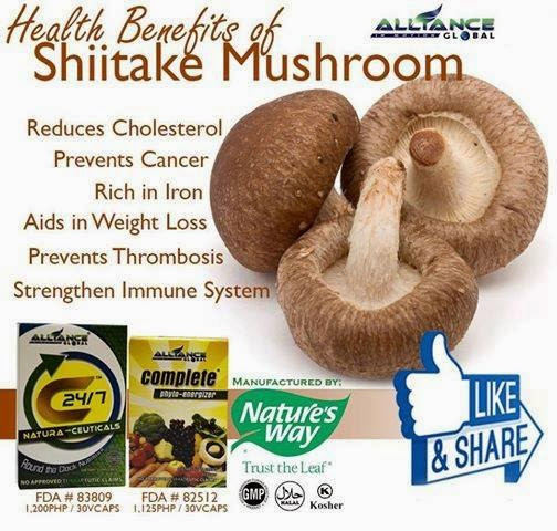 Shiitake Mushrooms Benefits
 Alliance in Motion Global Inc Distributors Shiitake
