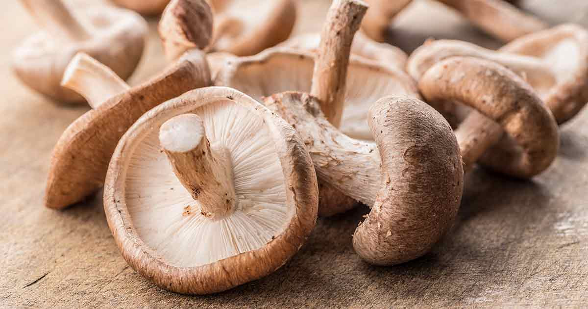 Shiitake Mushrooms Benefits
 Shiitake Mushrooms Nutrition Facts and Potential Benefits