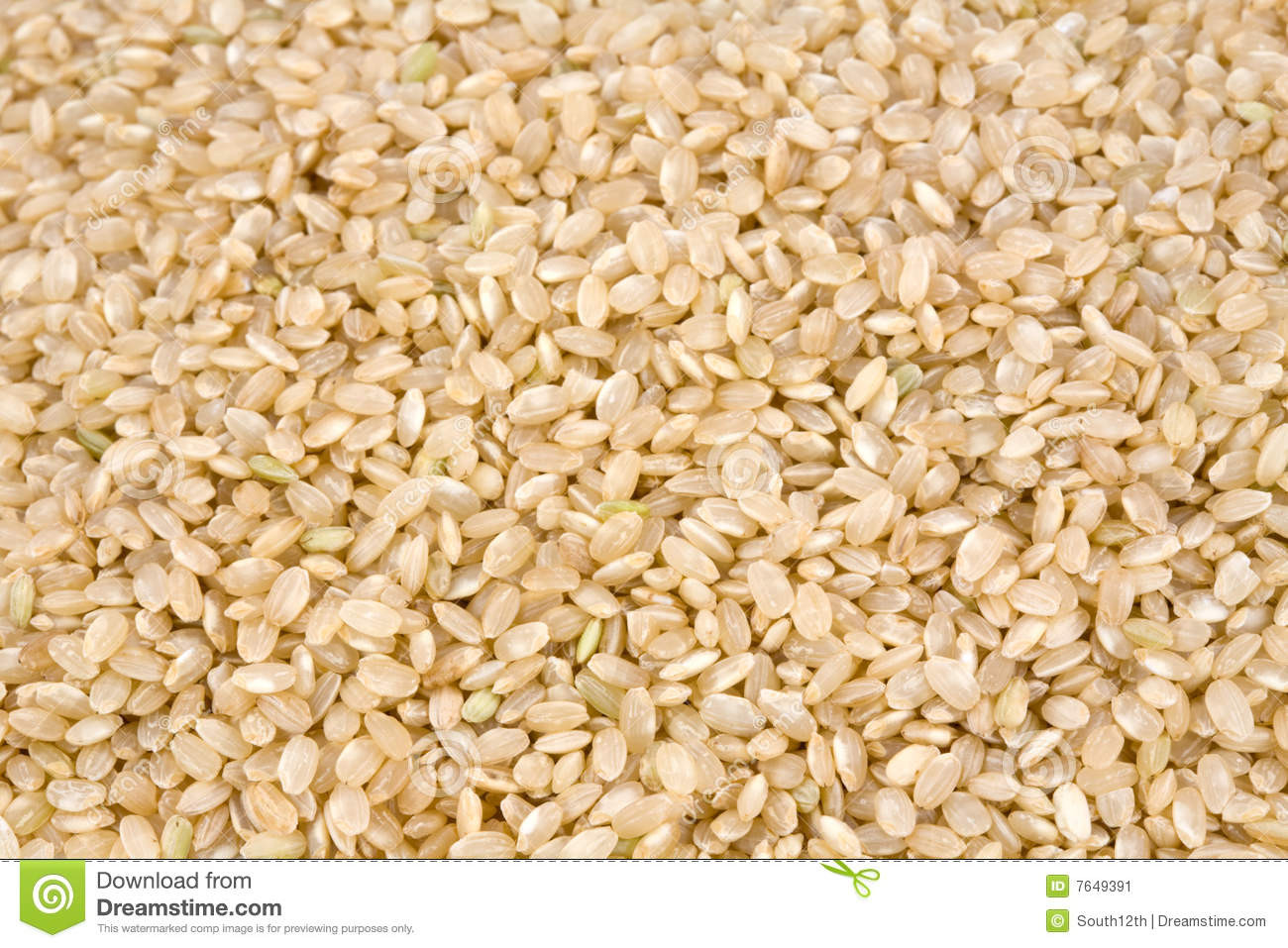 Short Grain Brown Rice Nutrition
 Closeup Short Grain Brown Rice Stock Image Image