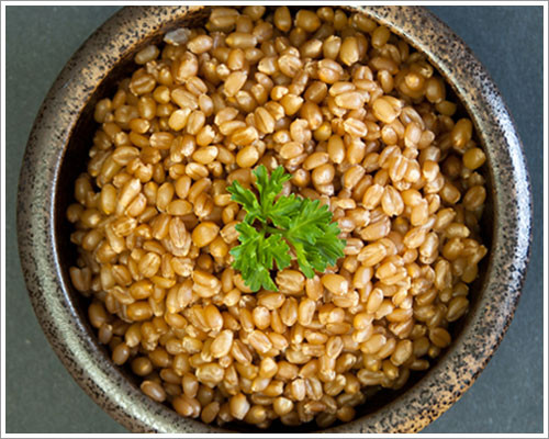 Short Grain Brown Rice Nutrition
 Grain of the Month Wheat Berries