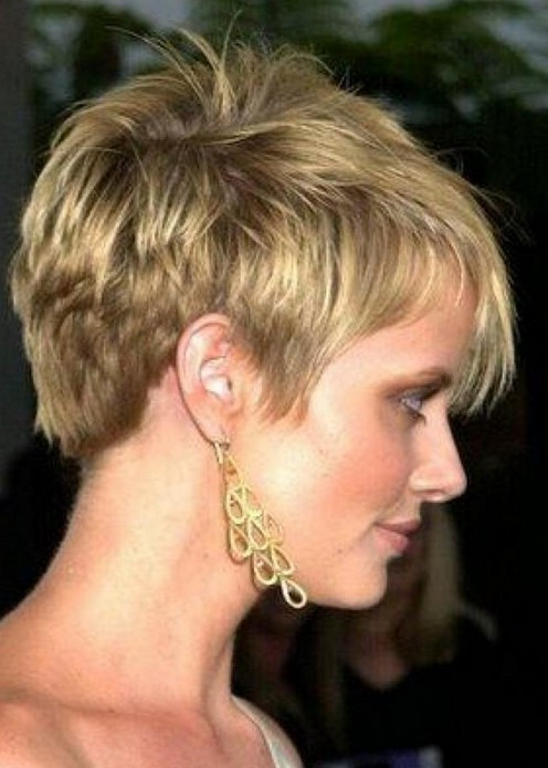 Short Haircuts For Thin Hair Pictures
 15 Chic Short Hairstyles for Thin Hair You Should Not