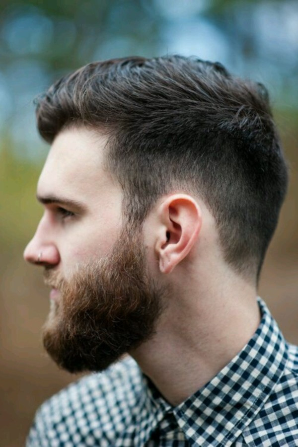 Short Hairstyle With Beard
 45 Best Beard Men Looks for Blessed Guys Her Canvas