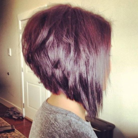 Short In The Front Long In The Back Black Hairstyles
 15 Inspirations of Long Front Short Back Hairstyles
