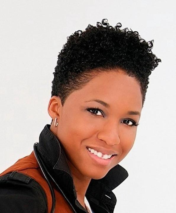 Short Natural African American Hairstyles
 Short Natural Hairstyles For Black Women The Xerxes