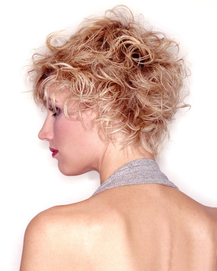 Short Wild Haircuts
 Wild short hairstyle with fuzzy fringes and blonde highlights