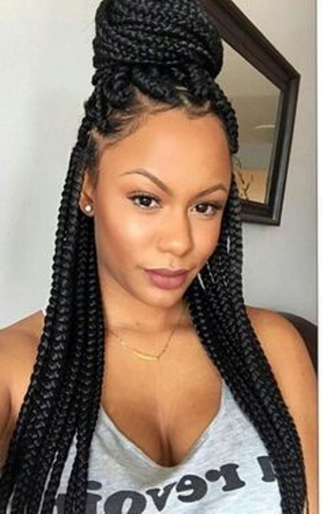 Single Braids Hairstyles
 Single Braids Hairstyles Trend This Summer All For