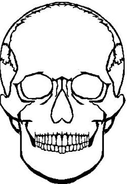 Skull Coloring Pages For Kids
 Coloring Pages For Girls Skull Coloring Pages