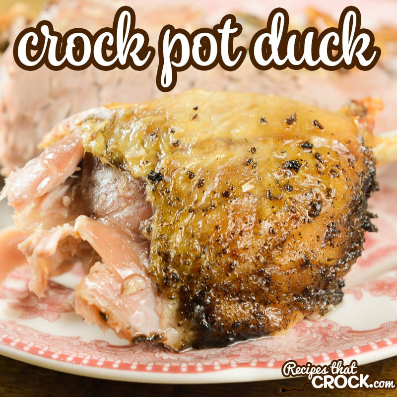 Slow Cooker Duck Recipes
 Crock Pot Duck Recipes That Crock