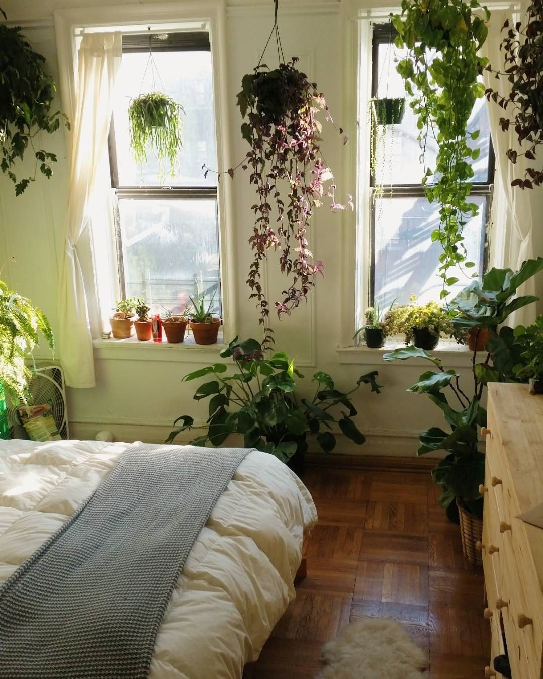 Small Plants For Bedroom
 Urban Jungle Bloggers on Instagram “We could stay here