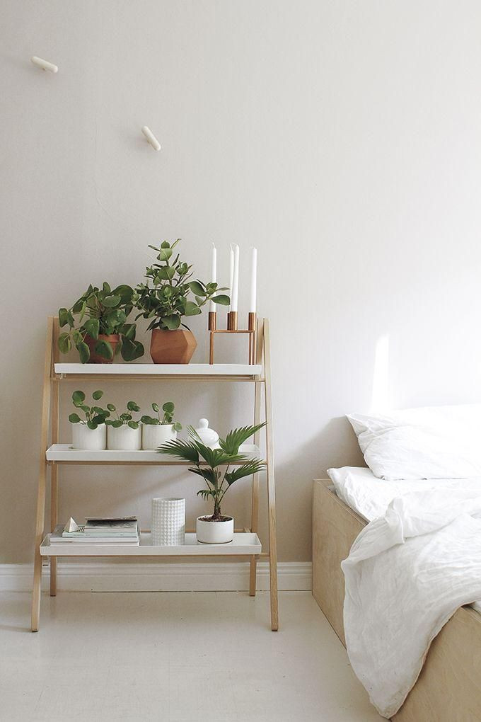 Small Plants For Bedroom
 Minimalist modern organic bedroom interior design idea