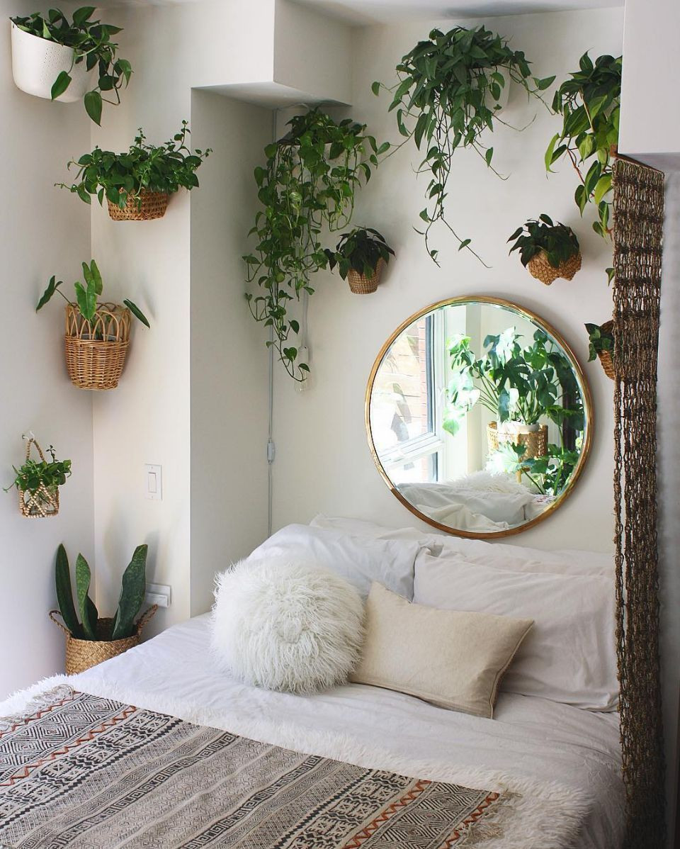 Small Plants For Bedroom
 13 smart and savvy small bedroom decorating ideas in 2019