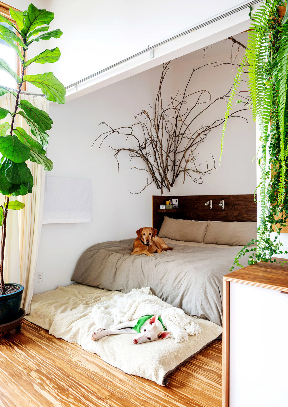 Small Plants For Bedroom
 Design Highlight Bedrooms Using Live Plants as Decor