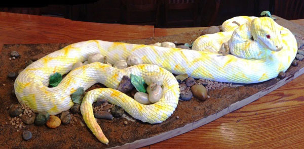 Snake Birthday Cake
 Snake cakes – All the Creatures