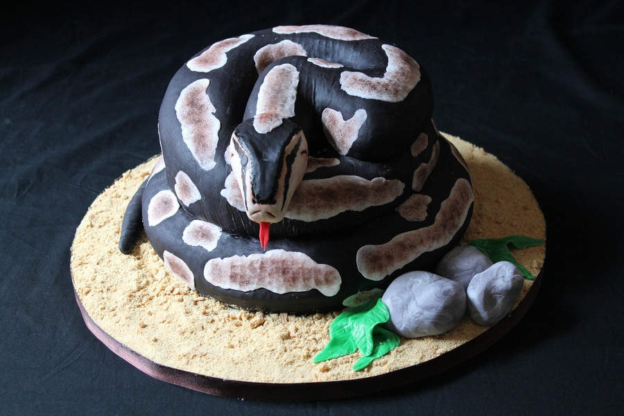 Snake Birthday Cake
 Python Birthday Cake CakeCentral