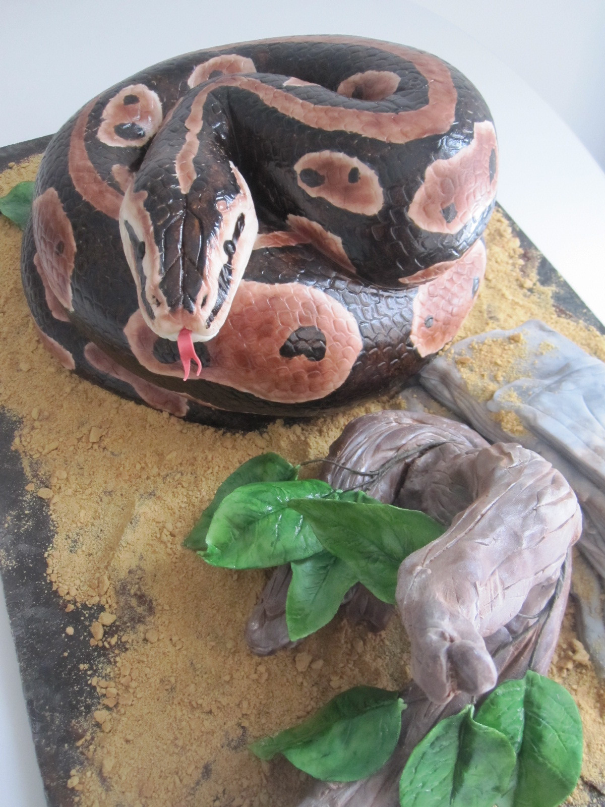 Snake Birthday Cake
 the wicked little cake pany sneaky snakey surprise