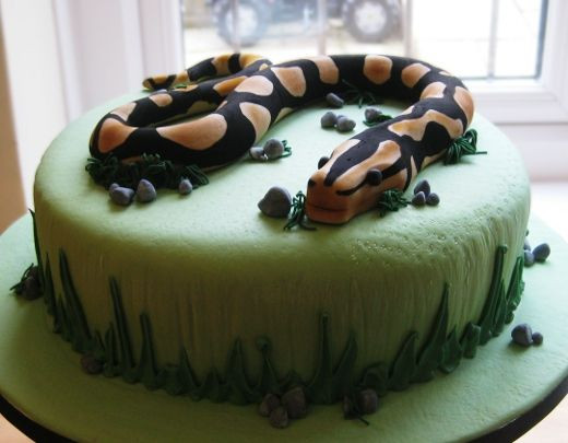 Snake Birthday Cake
 Snake birthday cake with good grass on sides and stones
