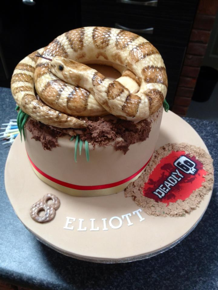 Snake Birthday Cake
 Wild Kids Reptile Parties Reptile Birthday Cakes