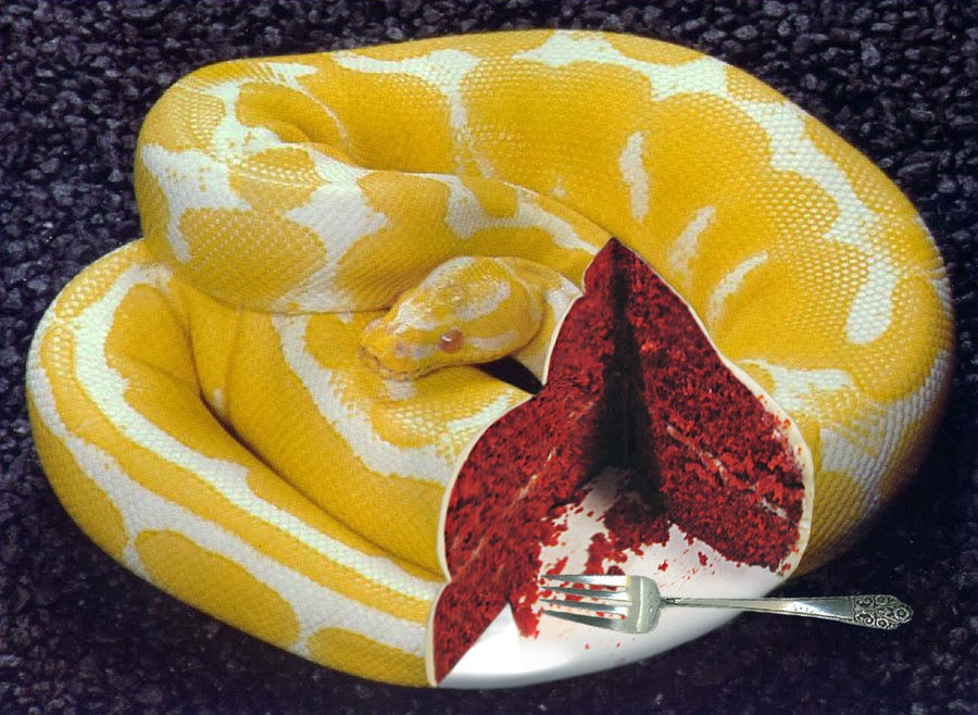 Snake Birthday Cake
 The Talking Snake Takes the Cake ExChristian Net